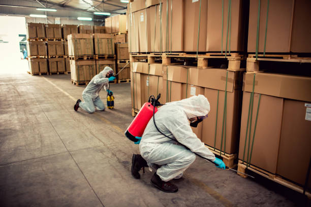 Best Cockroach Control Services  in Eatons Neck, NY