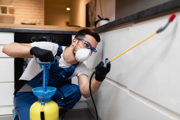 Best Best Pest Control Companies  in Eatons Neck, NY