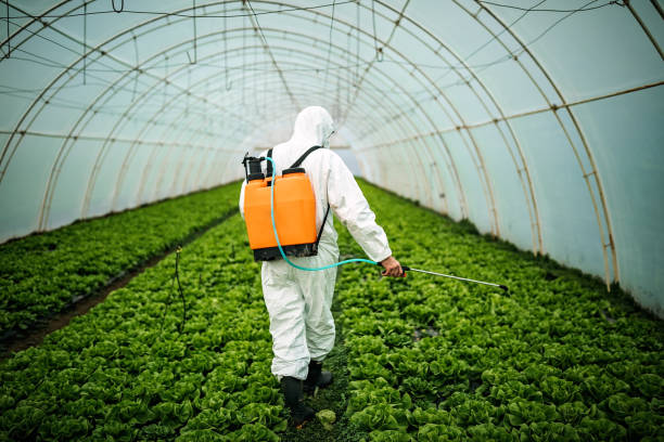 Best Pest Control Cost  in Eatons Neck, NY