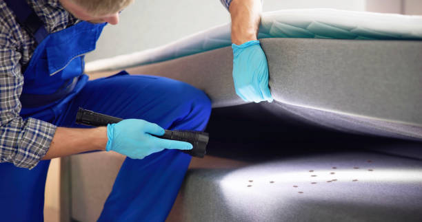 Best Flea Control Services  in Eatons Neck, NY