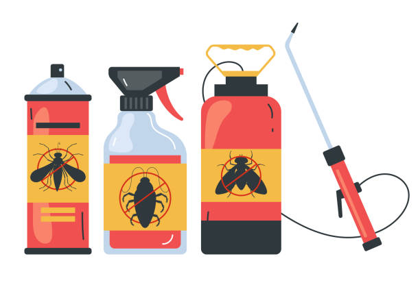 Best Termite Control Services  in Eatons Neck, NY