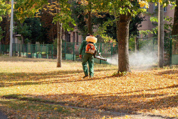 Best Best Pest Control Companies  in Eatons Neck, NY