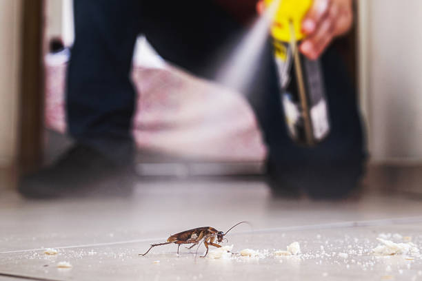 Wildlife Control Services in Eatons Neck, NY
