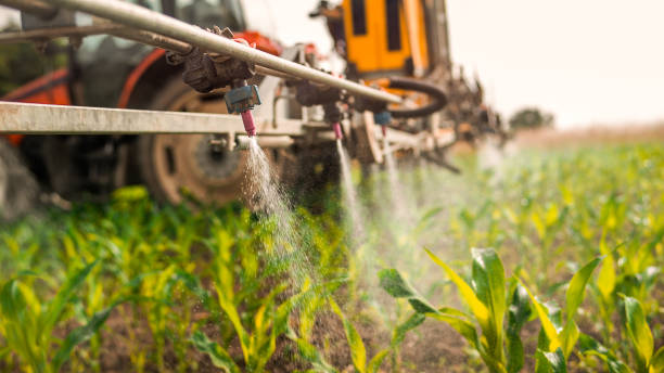 Best Pest Removal Services  in Eatons Neck, NY